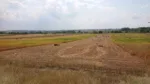 Меньше торговли – больше фермерства